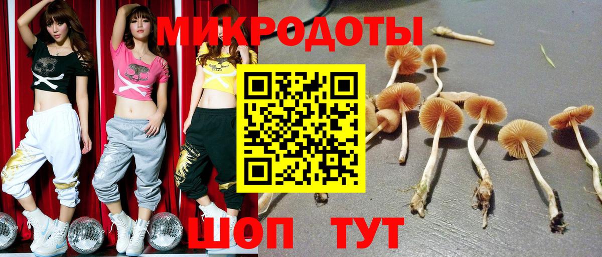 Галлюциногенные грибы ЛСД  Галлюциногенные грибы мухоморы  Вход с VPN  Елабуга 